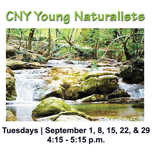 CNY Young Naturalists image